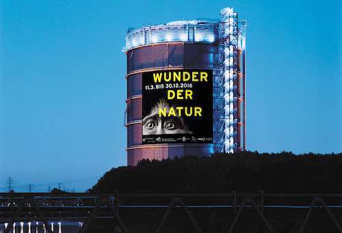 Montage "Wunder der Natur" im Gasometer Oberhausen Plakat: Uwe Loesch unter Verwendung des Fotos "Monkey" von Tim Flach