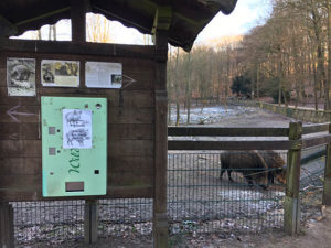 Wildschweine hautnah und zum füttern - Tierpark Witten Foto: Ruhrgebietaktuell/Janine Sauer-Crepulja