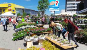 Eine riesige Auswahl an Pflanzen und Dekorationsartikeln findet man auf dem Blumen- und Gartenmarkt Herten Foto: Veranstaltungsagentur Prinz