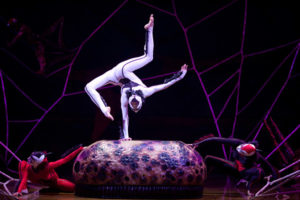 Der Cirque du Soleil ist bekannt für die artistischen und akrobatischen Höchstleistungen seiner Darsteller Foto: Ovo/Cirque du Soleil